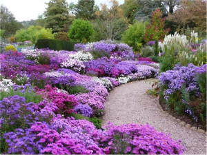 picton_garden_2_large